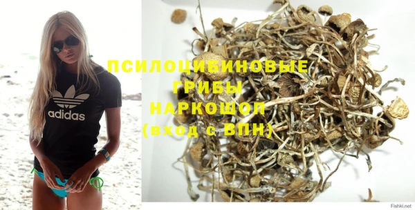 2c-b Гусиноозёрск